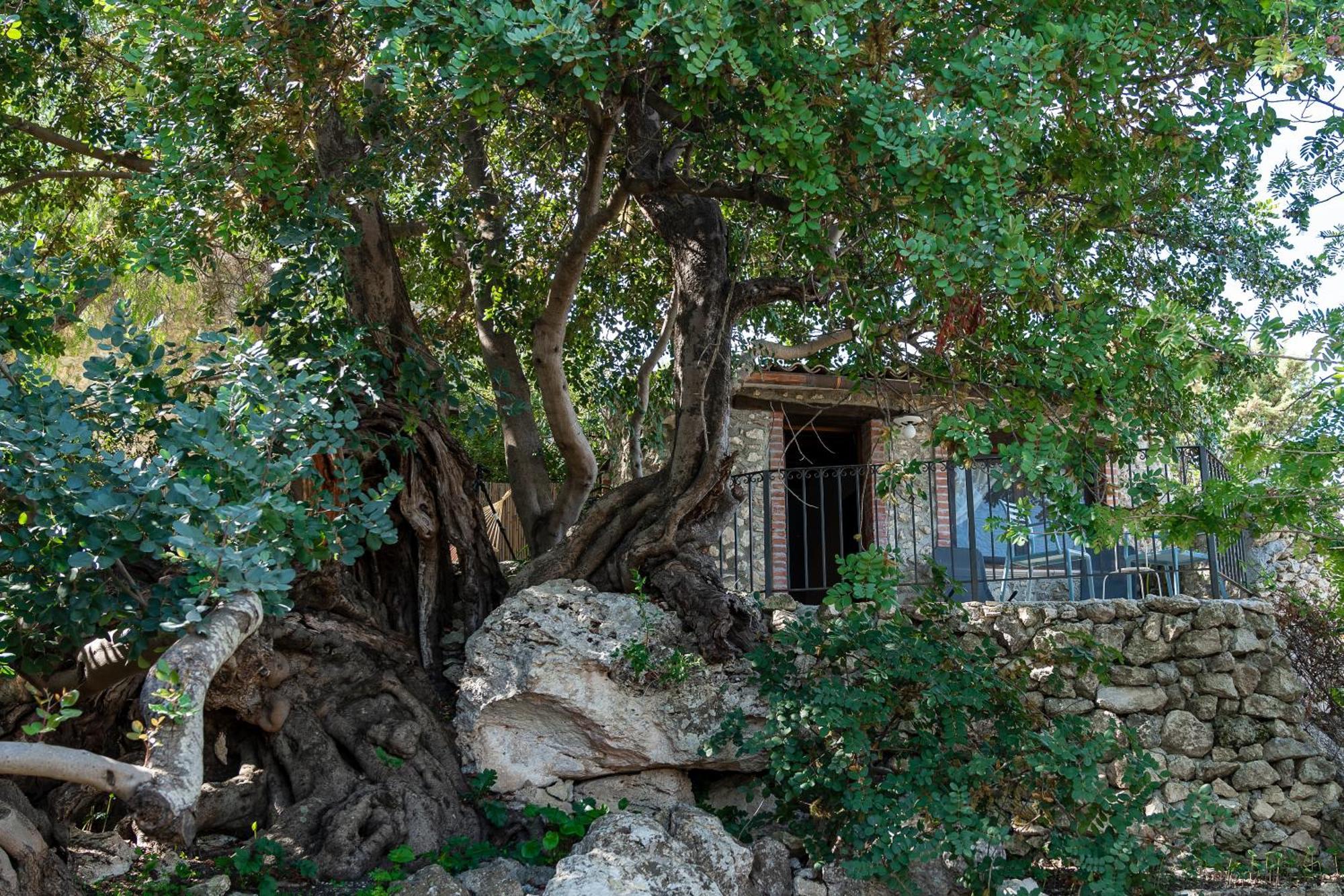 Roba Degli Ulivi Agrigento Exterior foto